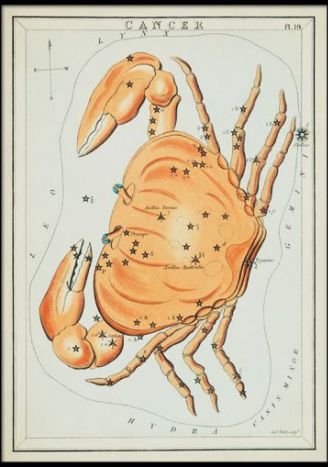 Plakat znaki zodiaku retro - Rak